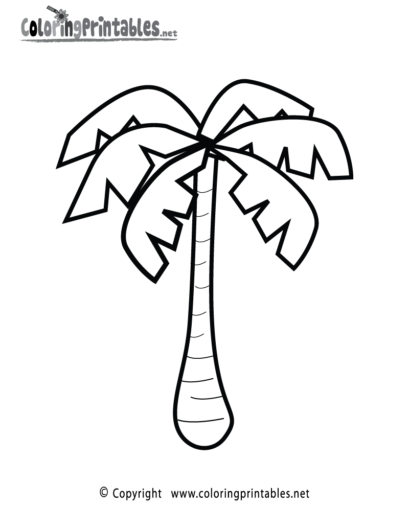 free-printable-palm-tree-coloring-page