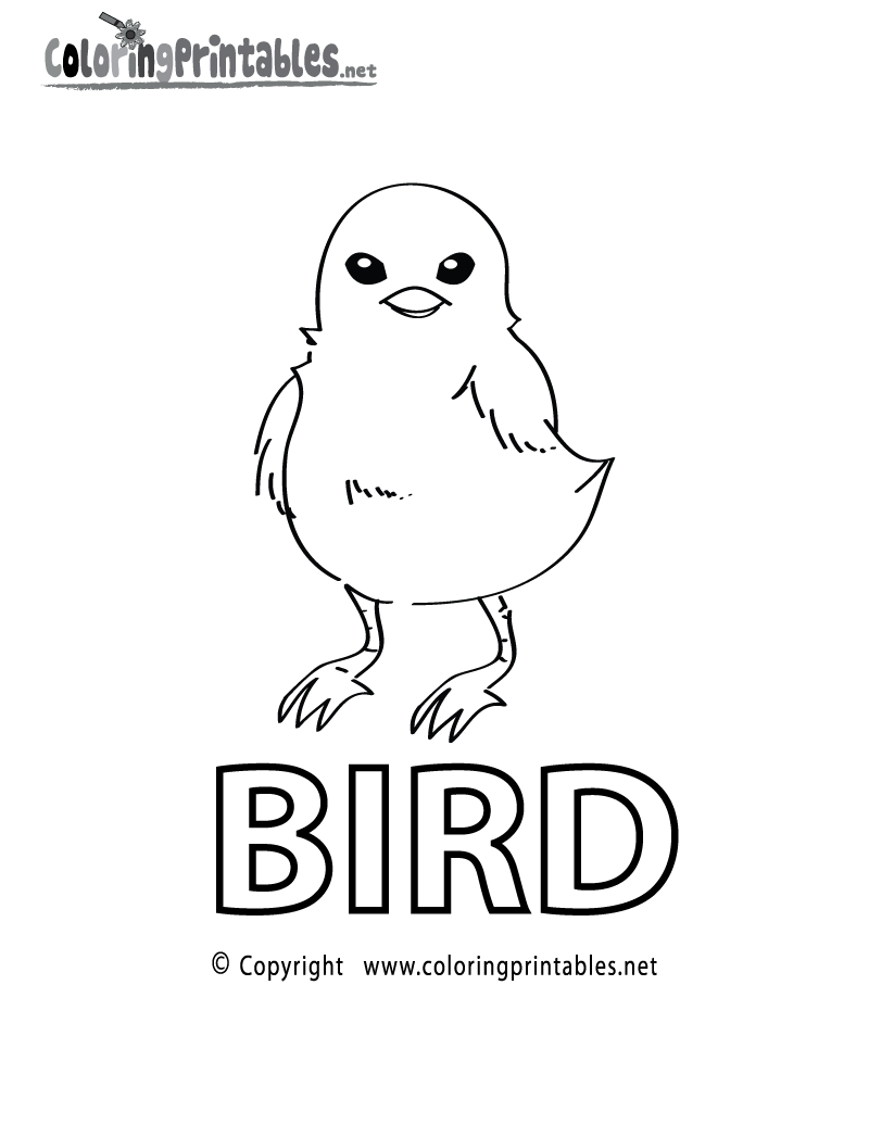 Free Printable Spelling Bird Coloring Page
